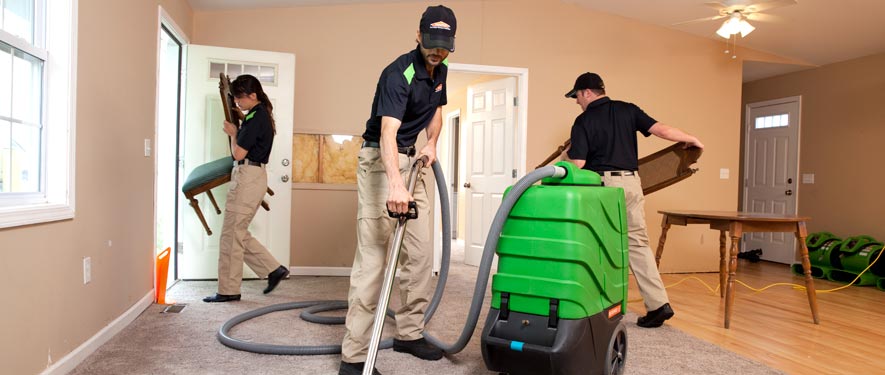 Clinton, NJ cleaning services